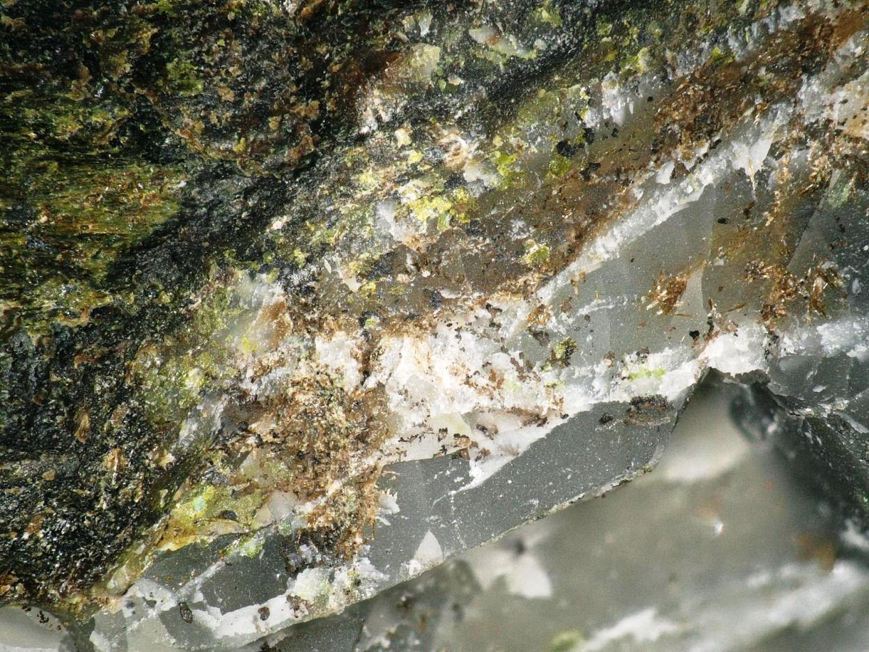 Cortesognoite