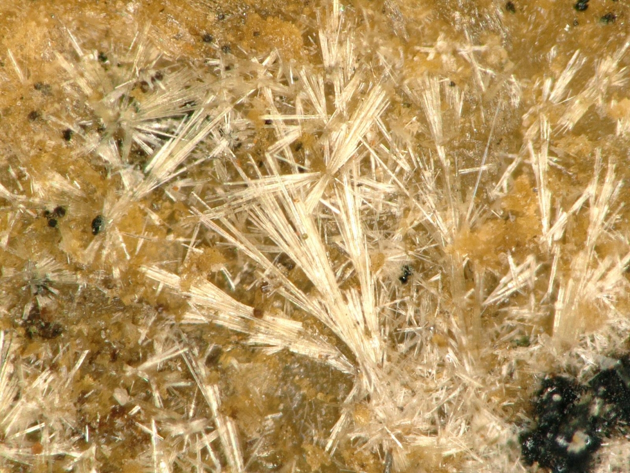 Earlshannonite & Strunzite