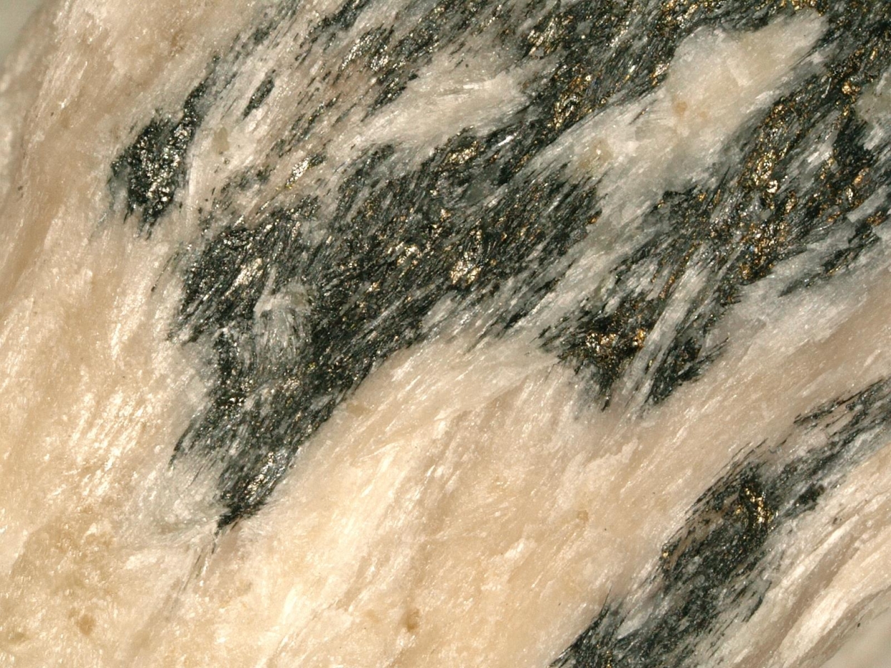 Hammarite In Wollastonite