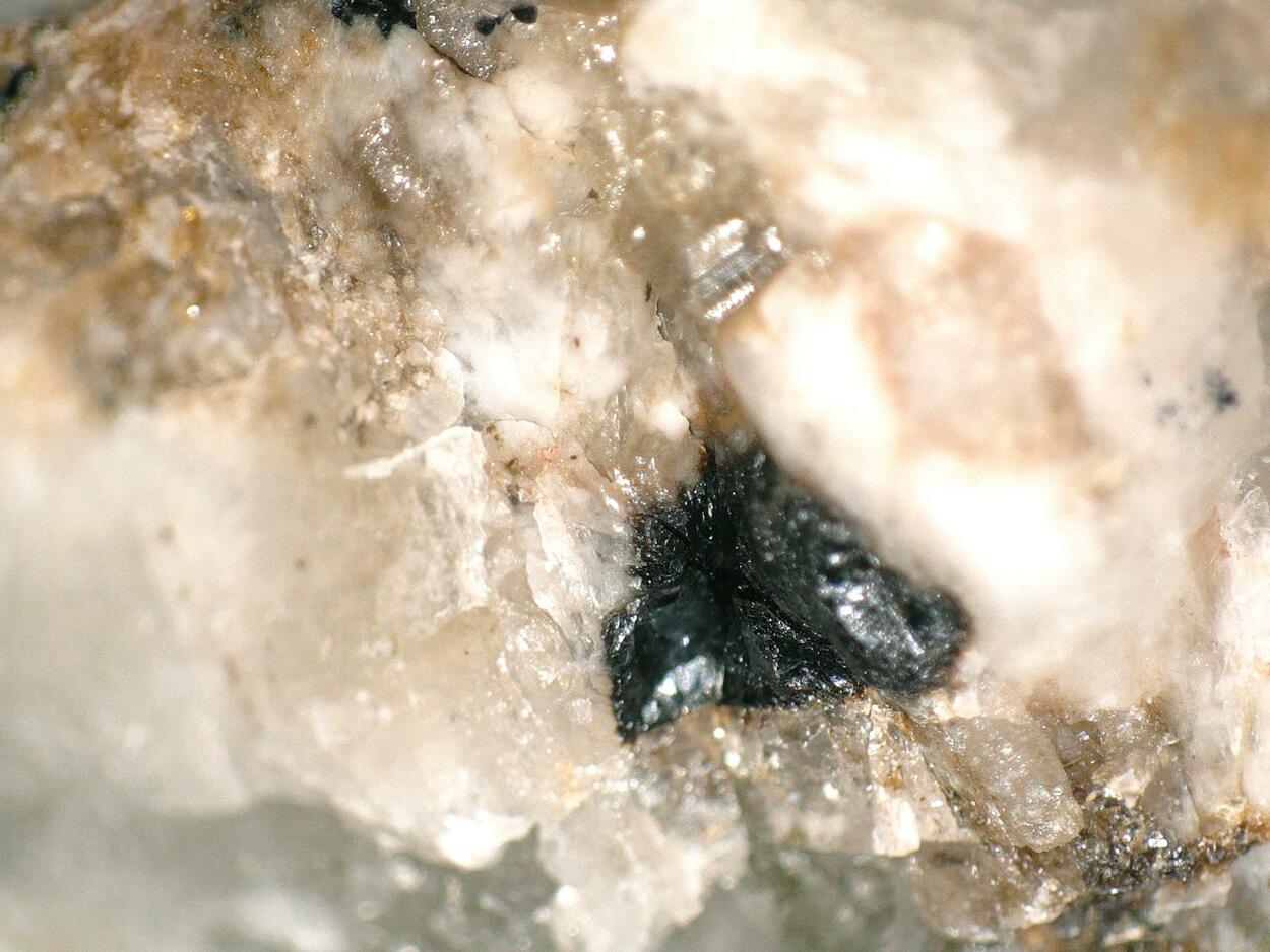 Rinkite