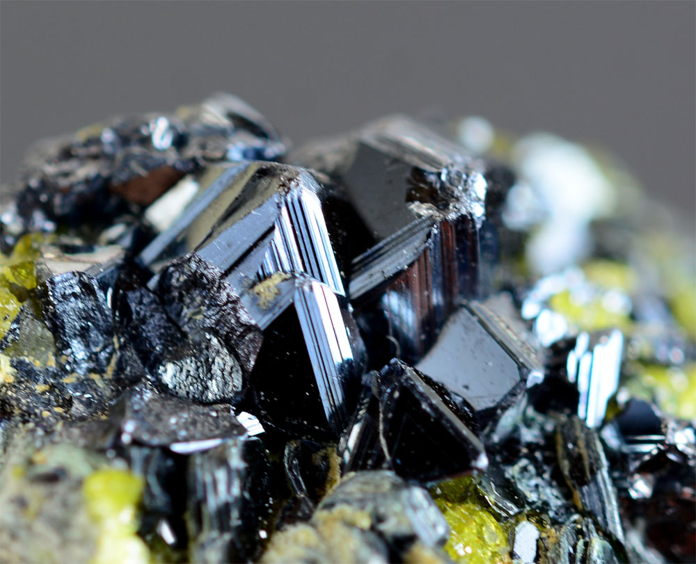 Magnetite With Epidote & Clinochlore