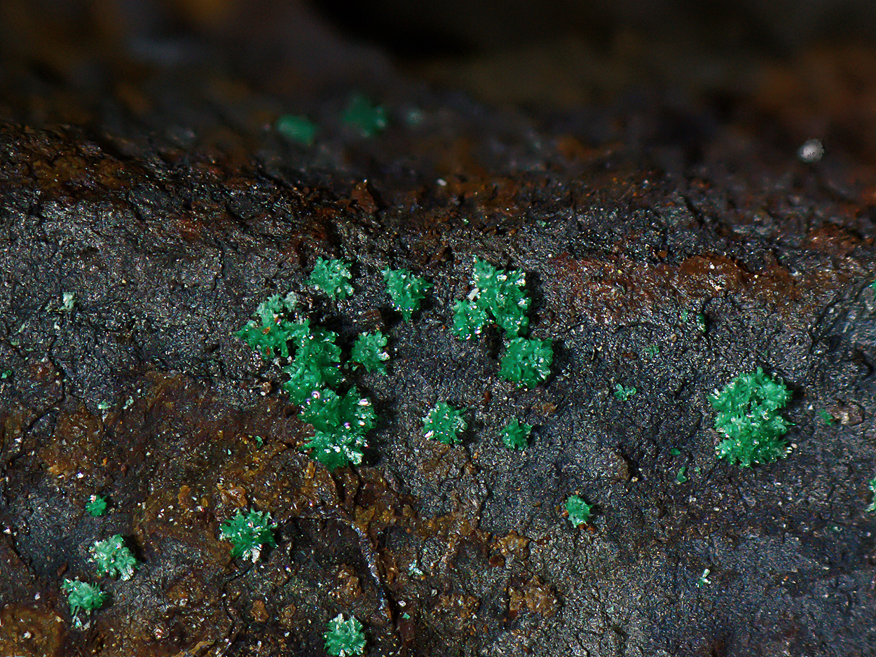 Leverettite