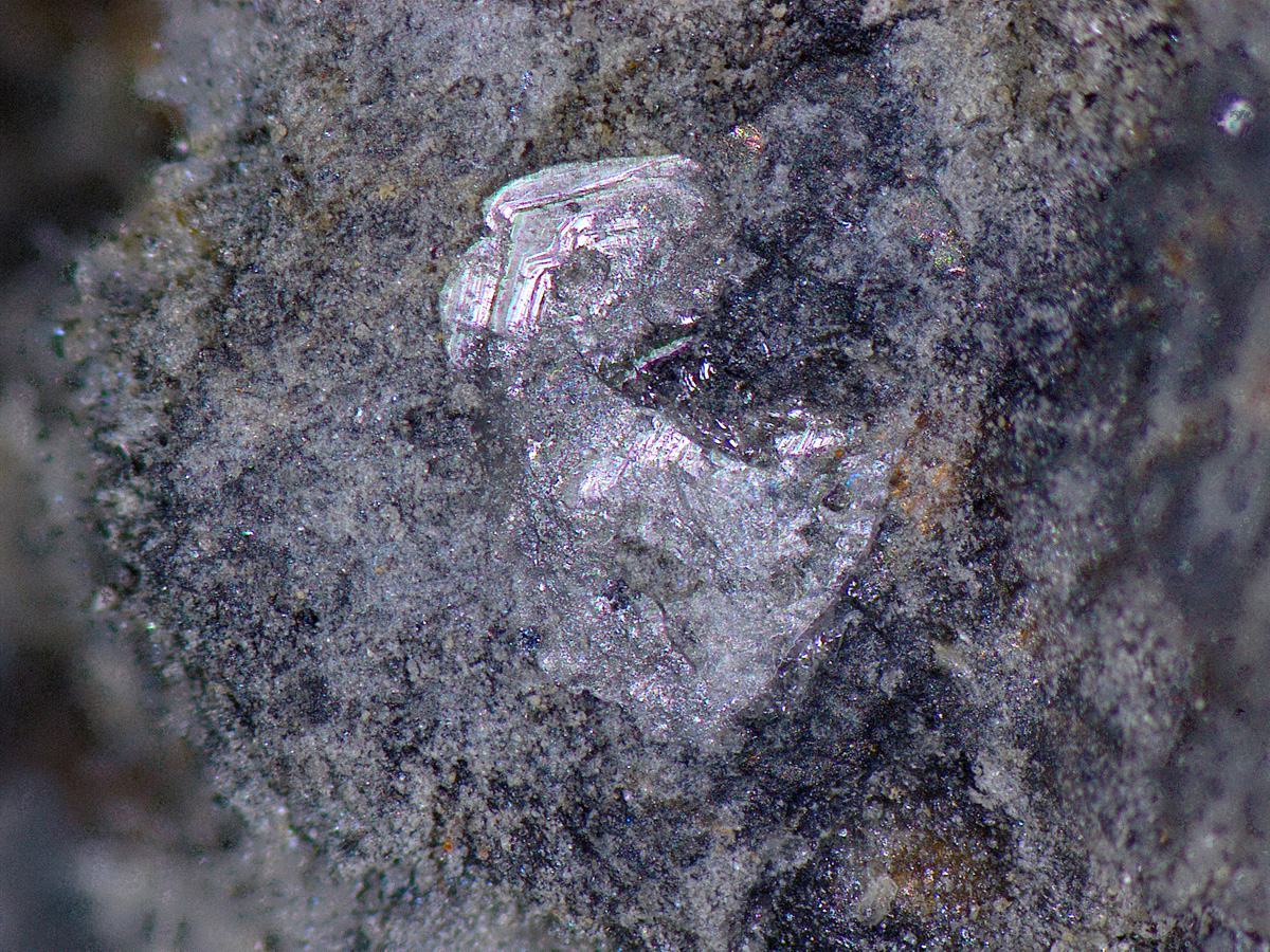 Brandholzite