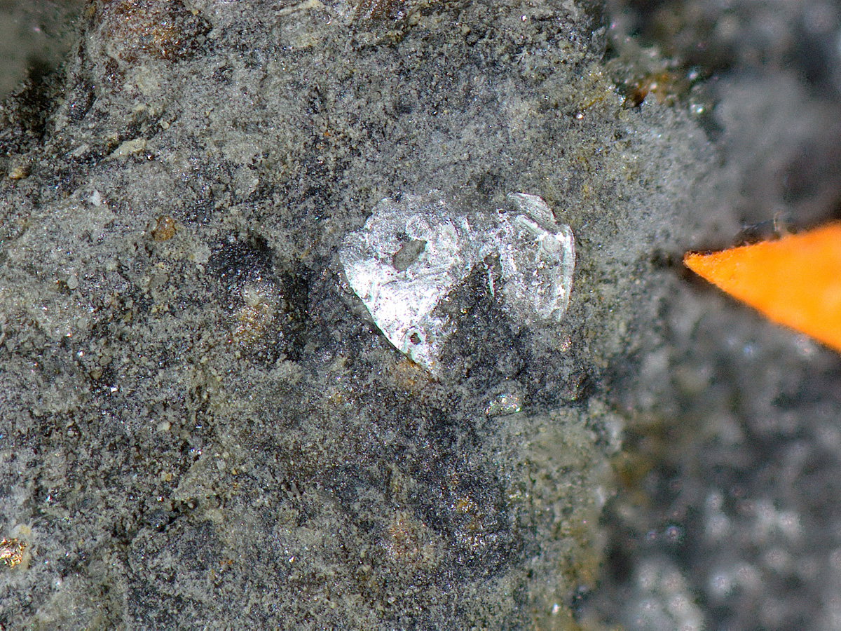 Brandholzite