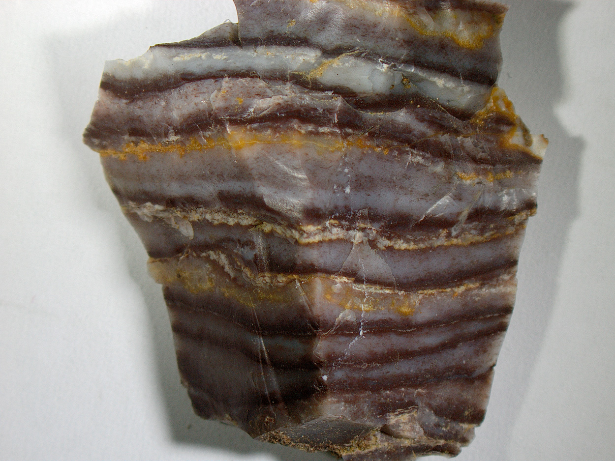 Wood Opal