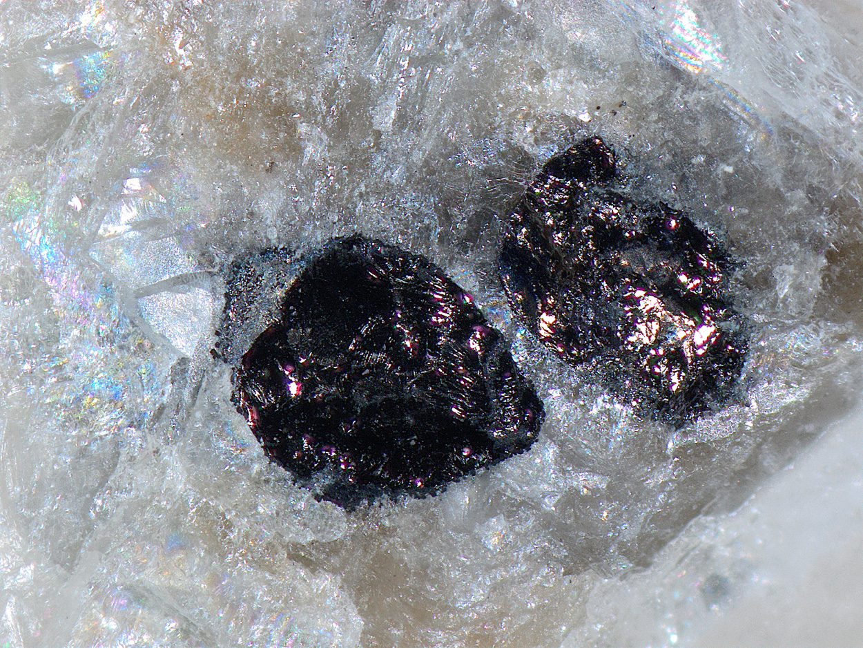 Wittichenite