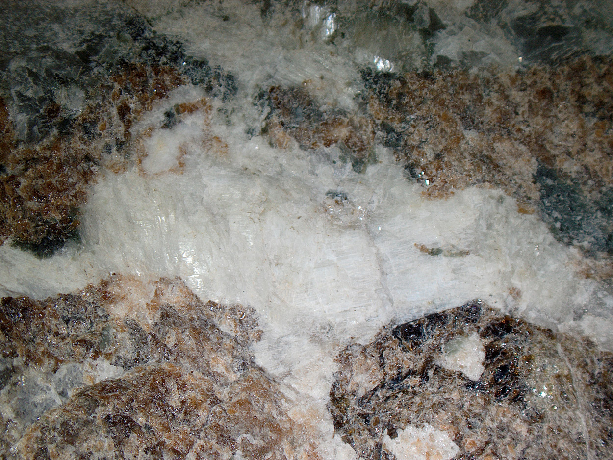 Grossular & Wollastonite