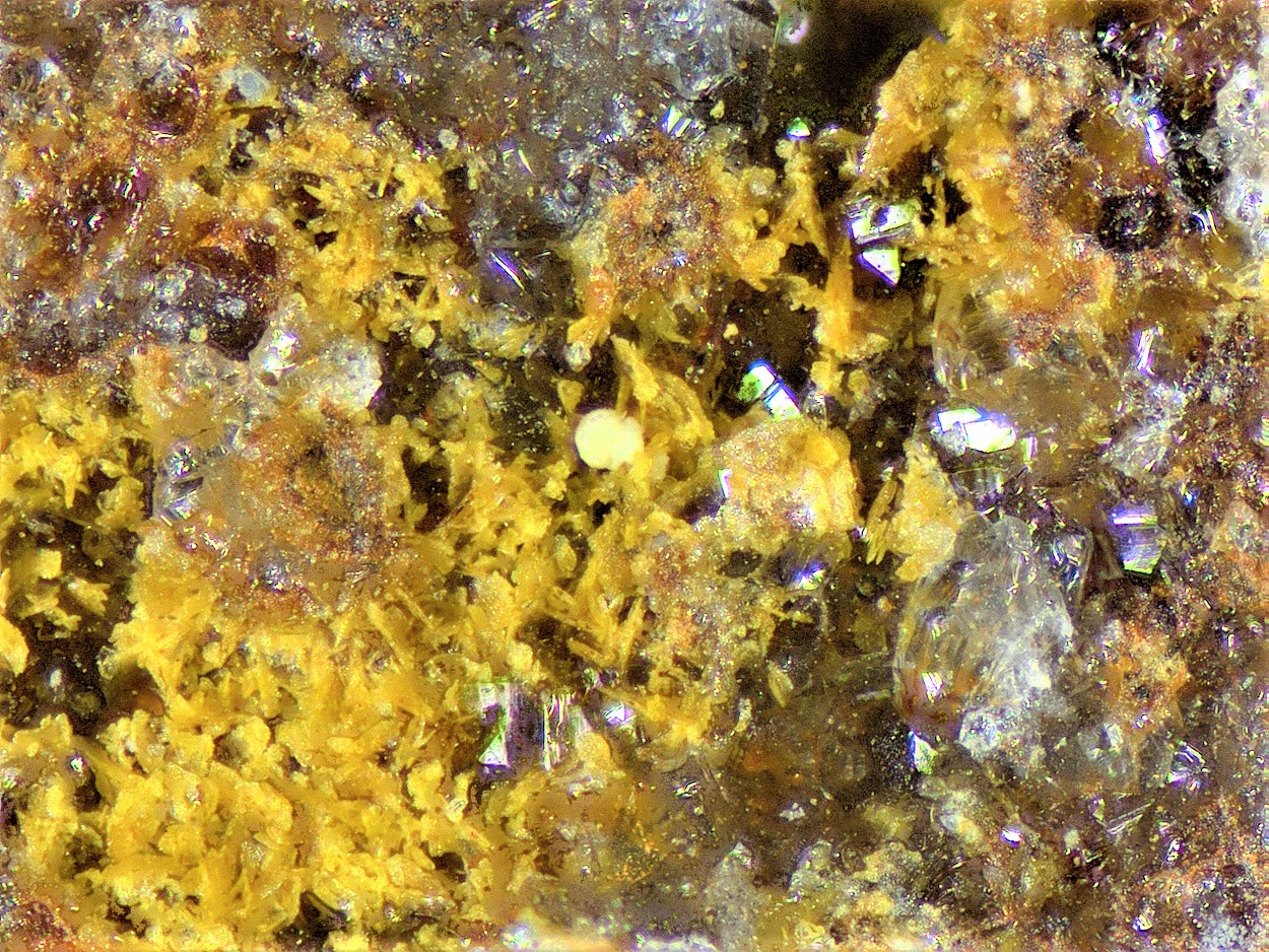 Gartrellite