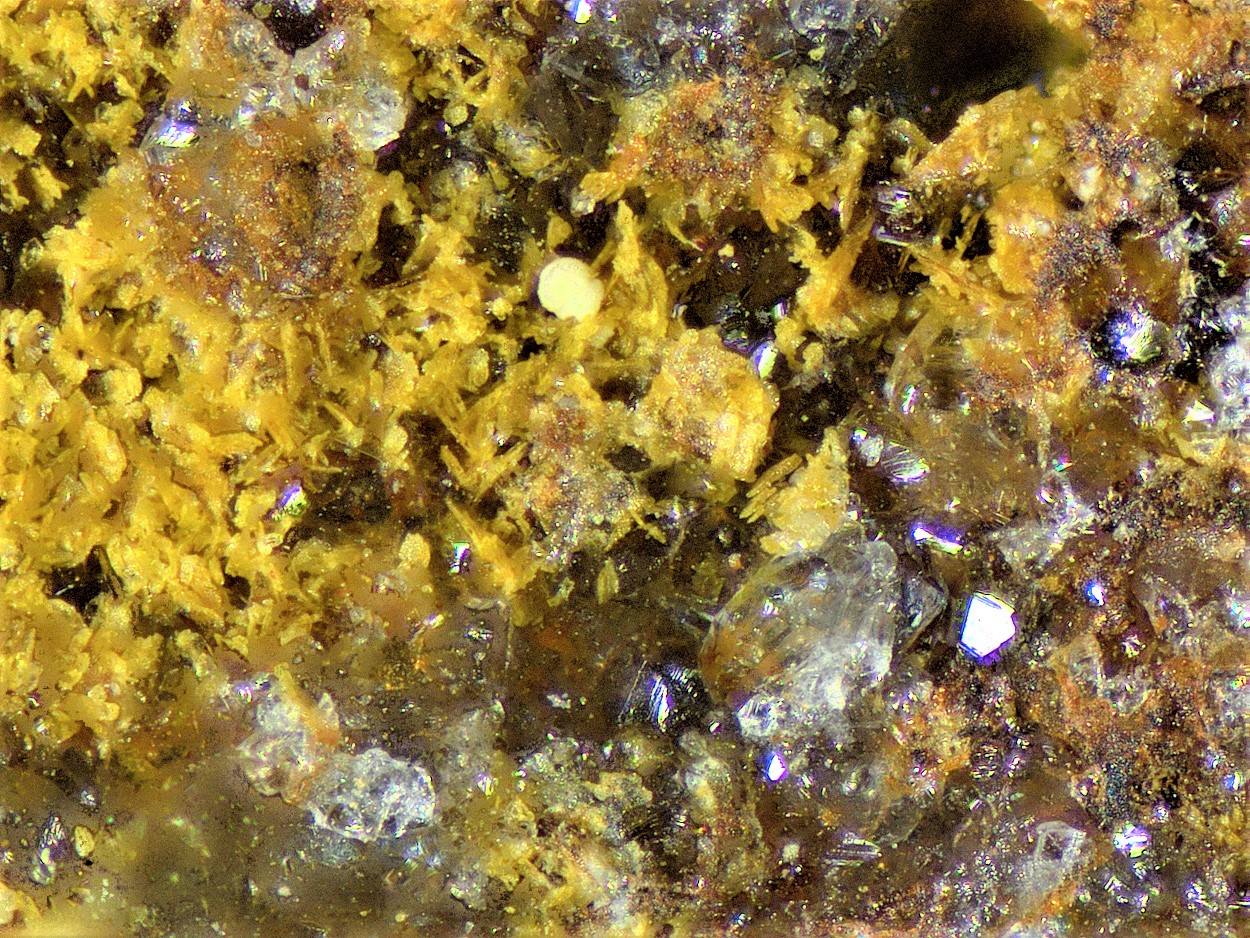 Gartrellite