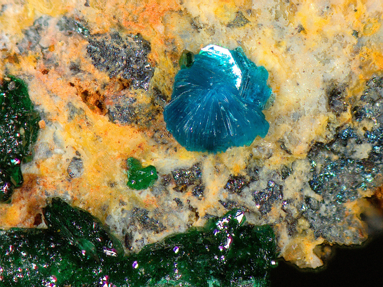 Sampleite & Atacamite