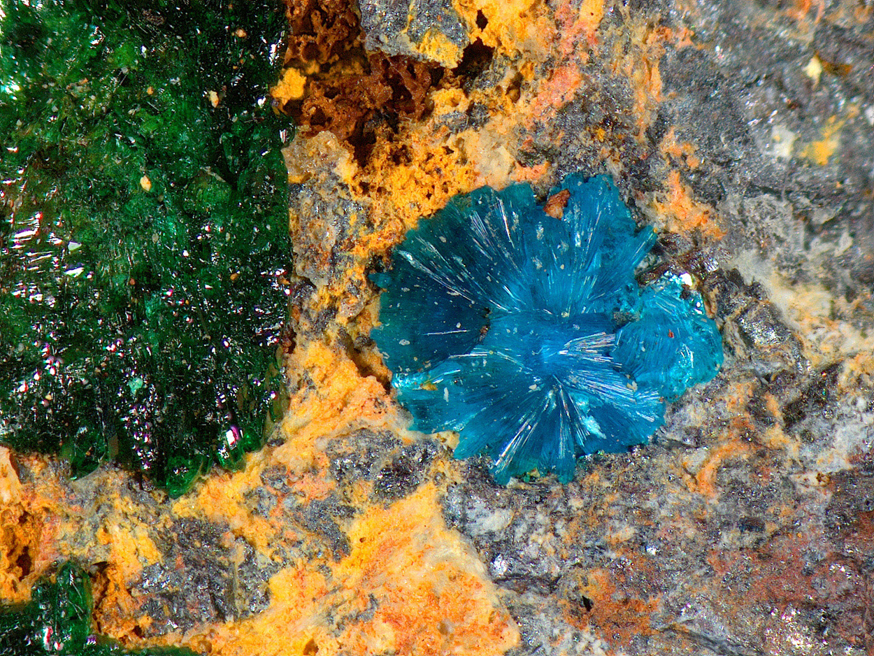 Sampleite & Atacamite