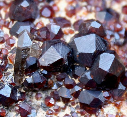 Garnet & Smoky Quartz