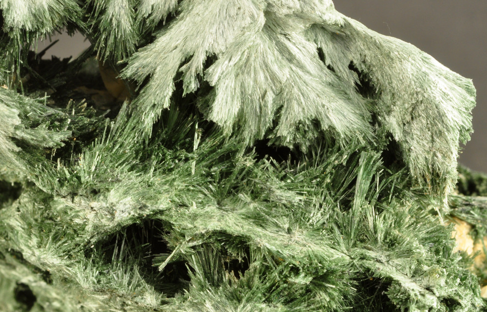 Actinolite