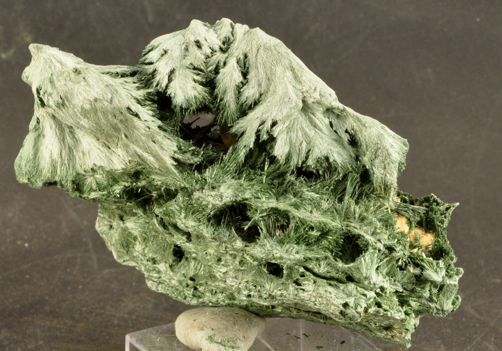 Actinolite