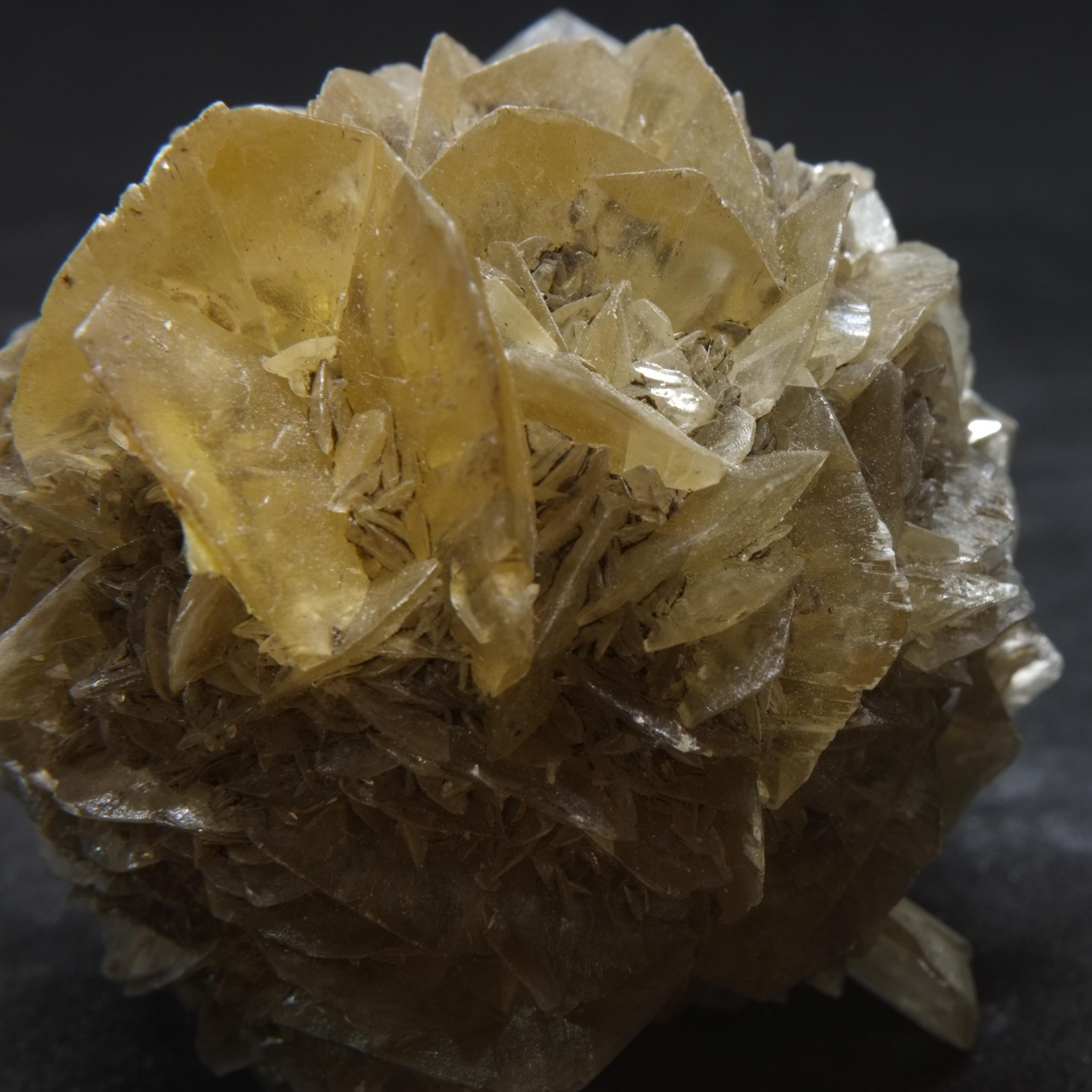 Gypsum