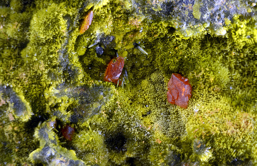 Crocoite & Pyromorphite