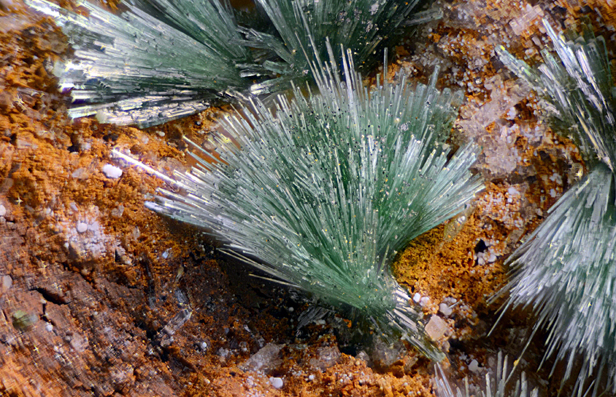 Olivenite & Conichalcite