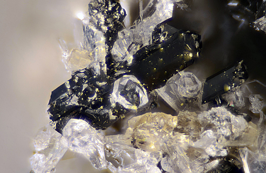 Anorthite Leucite Esseneite & Melilite