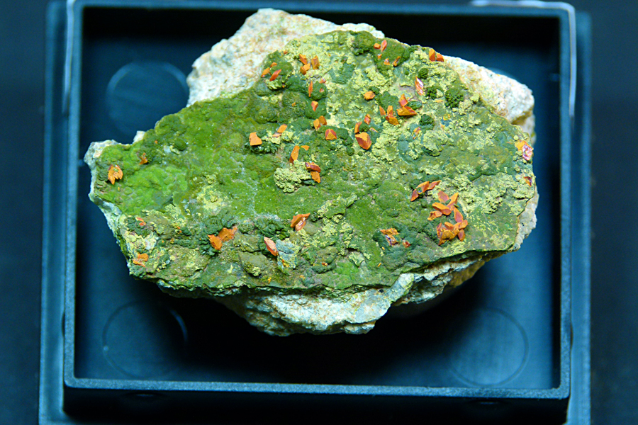 Crocoite & Pyromorphite