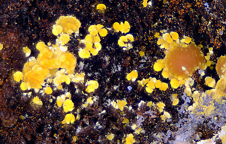 Cacoxenite