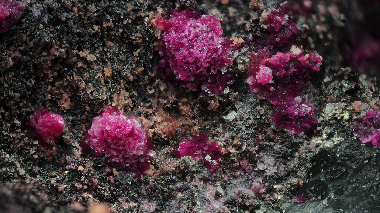 Cobaltkoritnigite & Spherocobaltite