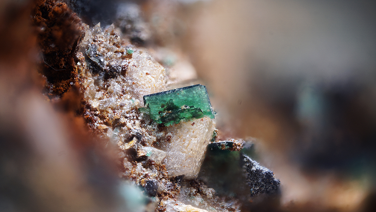 Sampleite & Atacamite