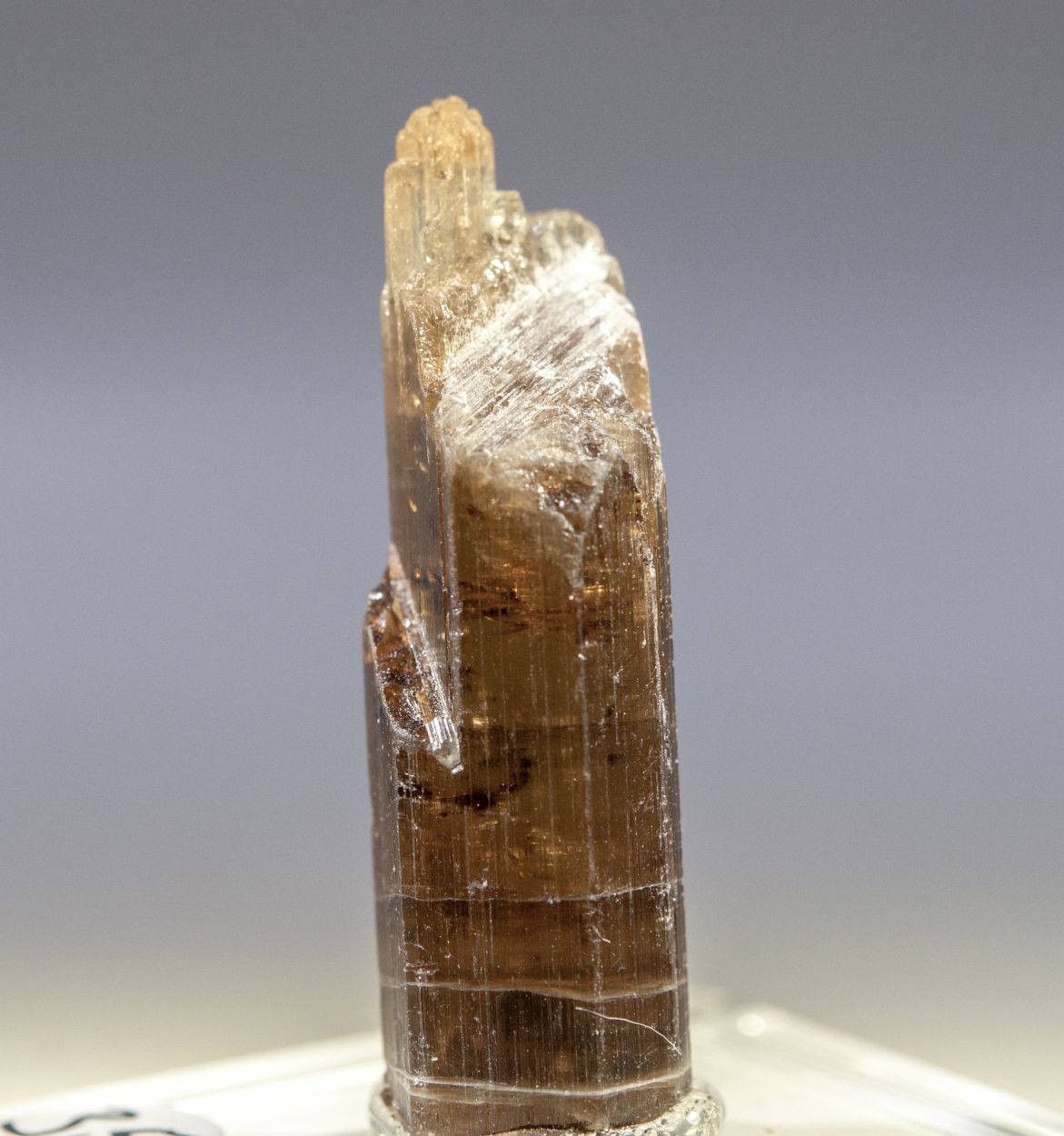 Dravite