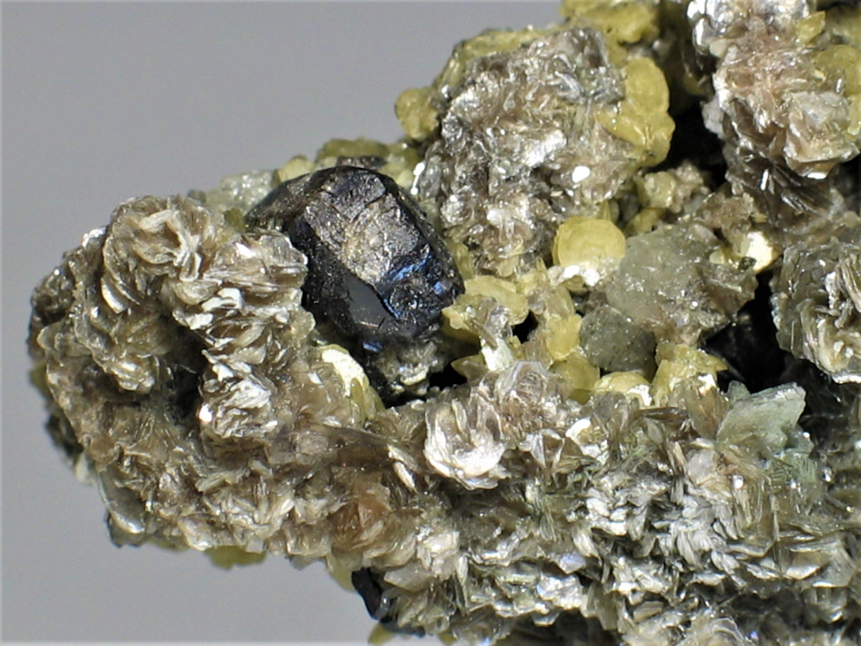 Cassiterite On Muscovite