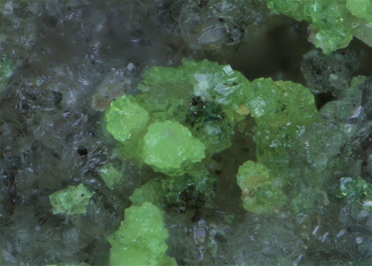 Andersonite