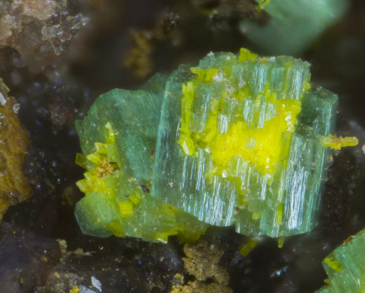 Bergenite & Phosphuranylite On Zeunerite