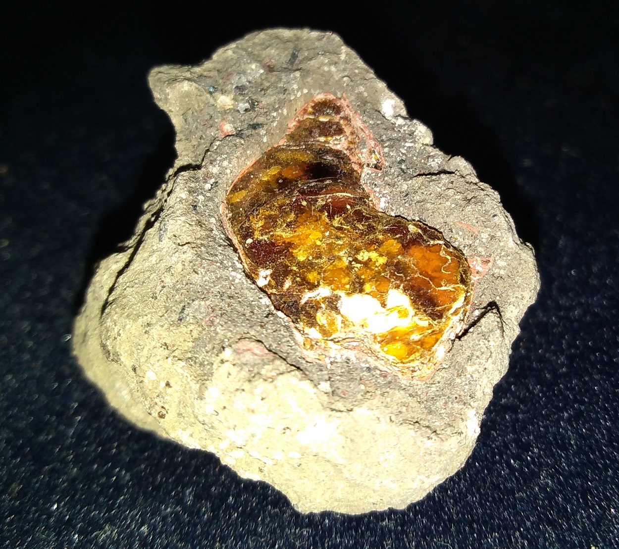 Phlogopite