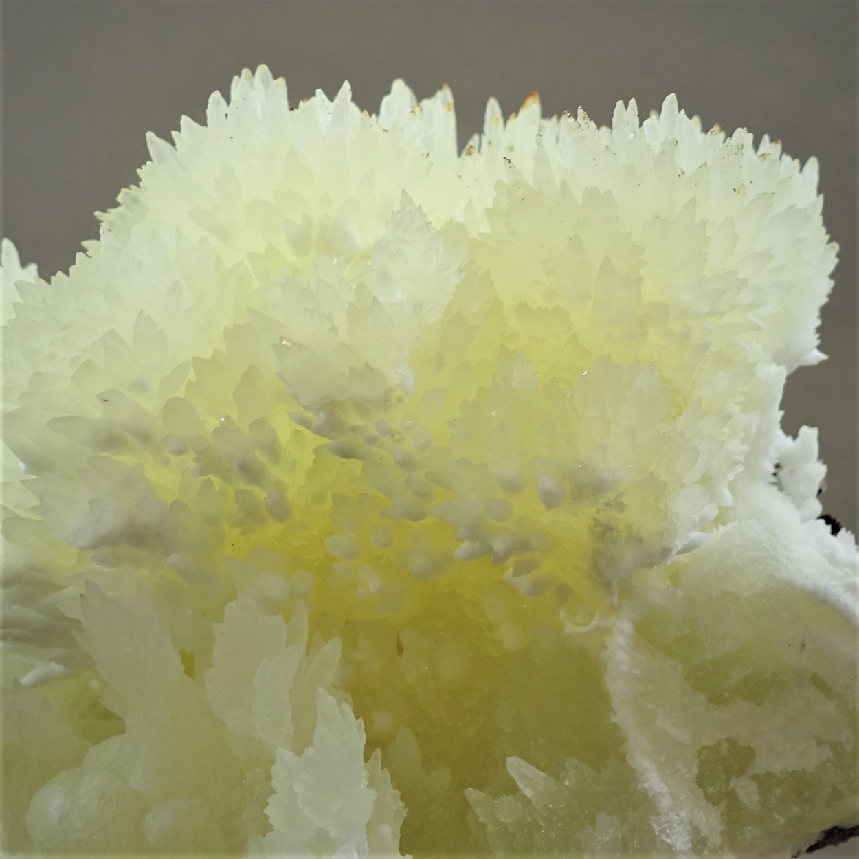 Aragonite