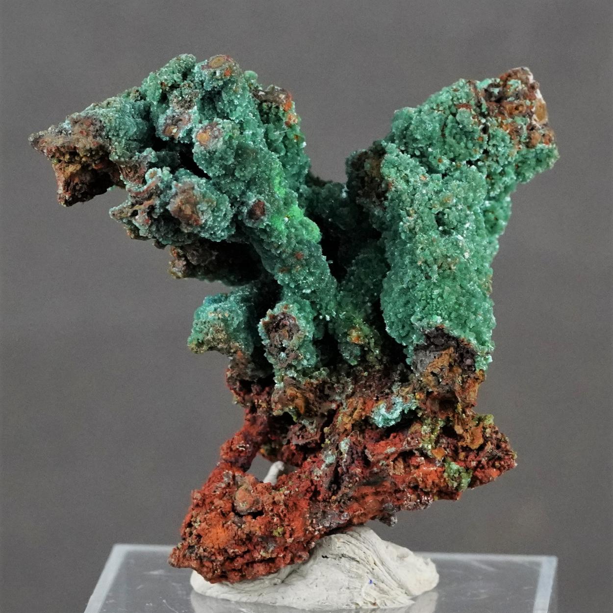 Zincolivenite Conichalcite On Goethite Psm Gypsum