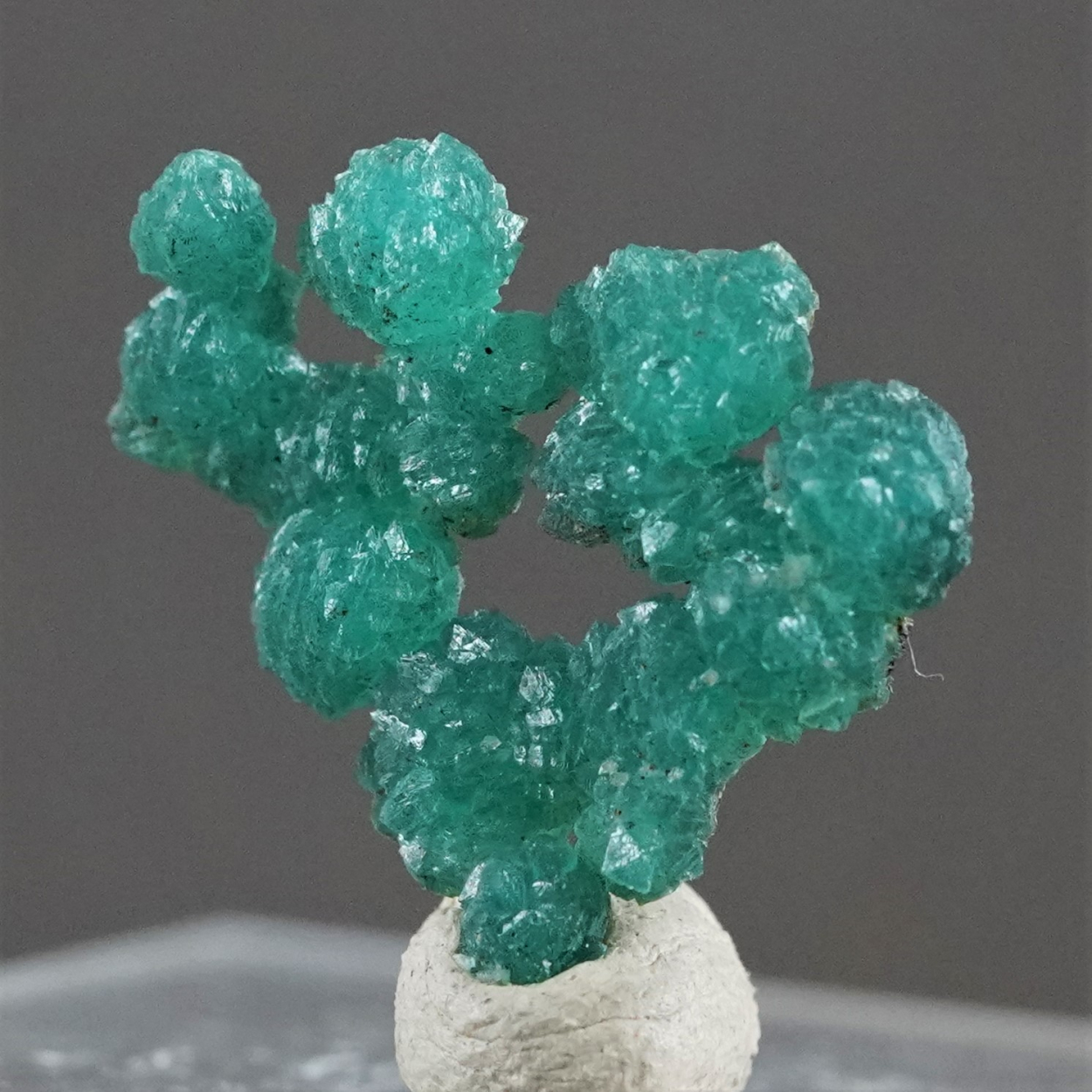 Cuprian Adamite