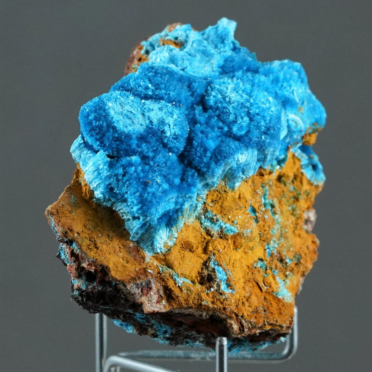 Serpierite