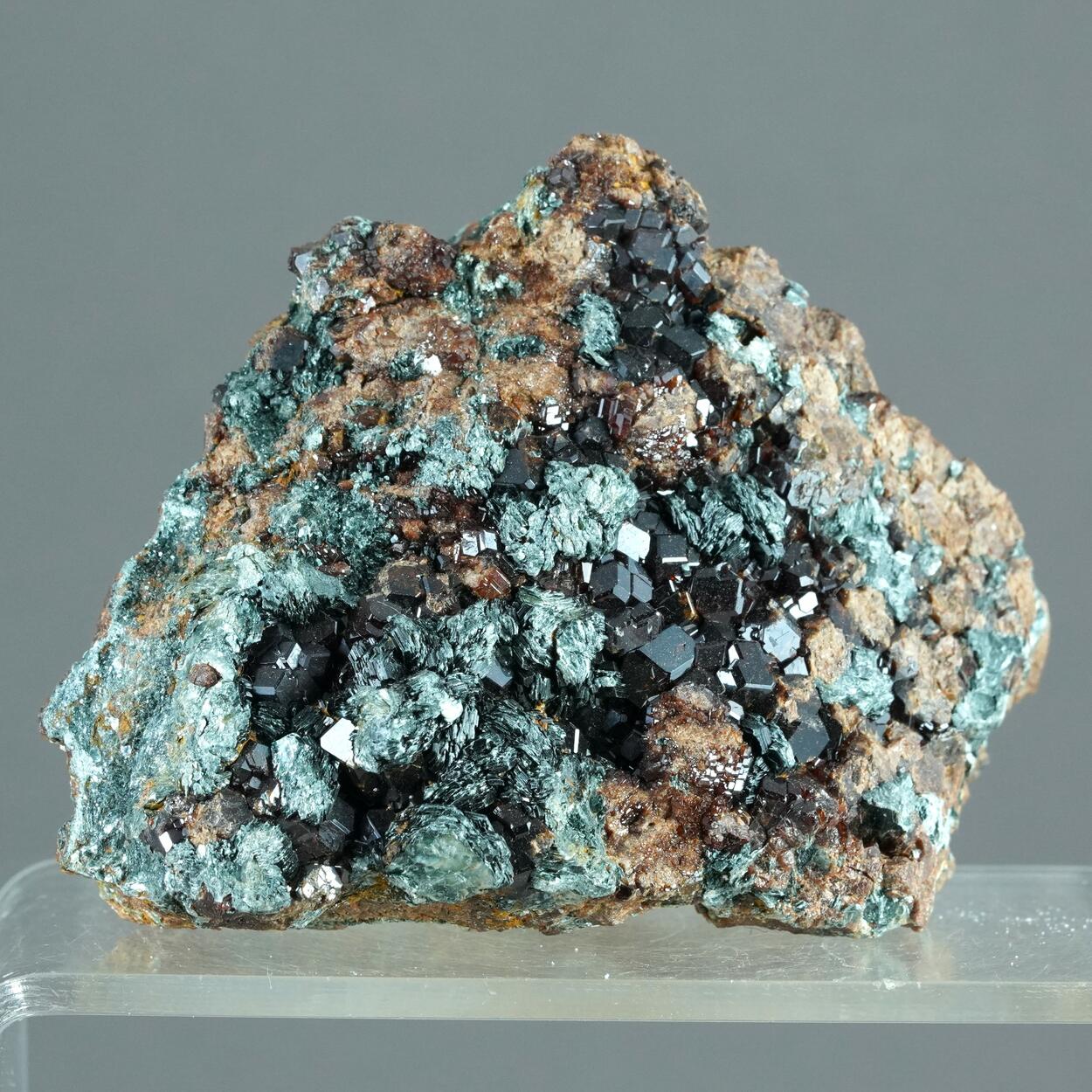 Hessonite & Clinochlore