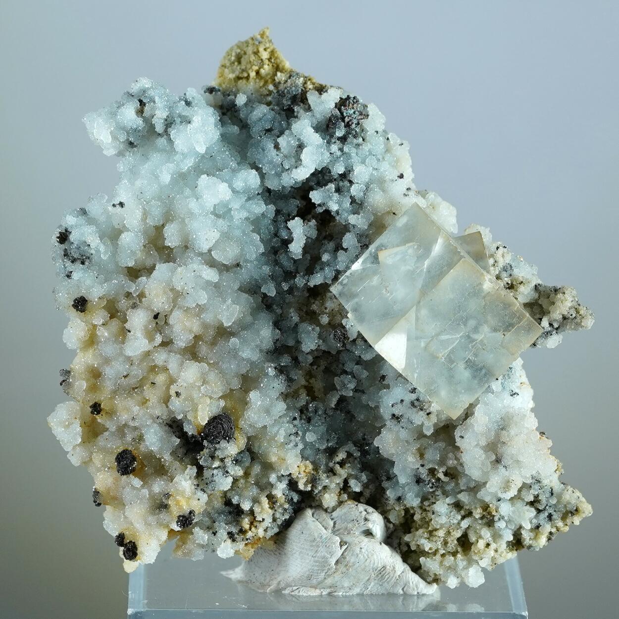 Fluorite Quartz & Siderite