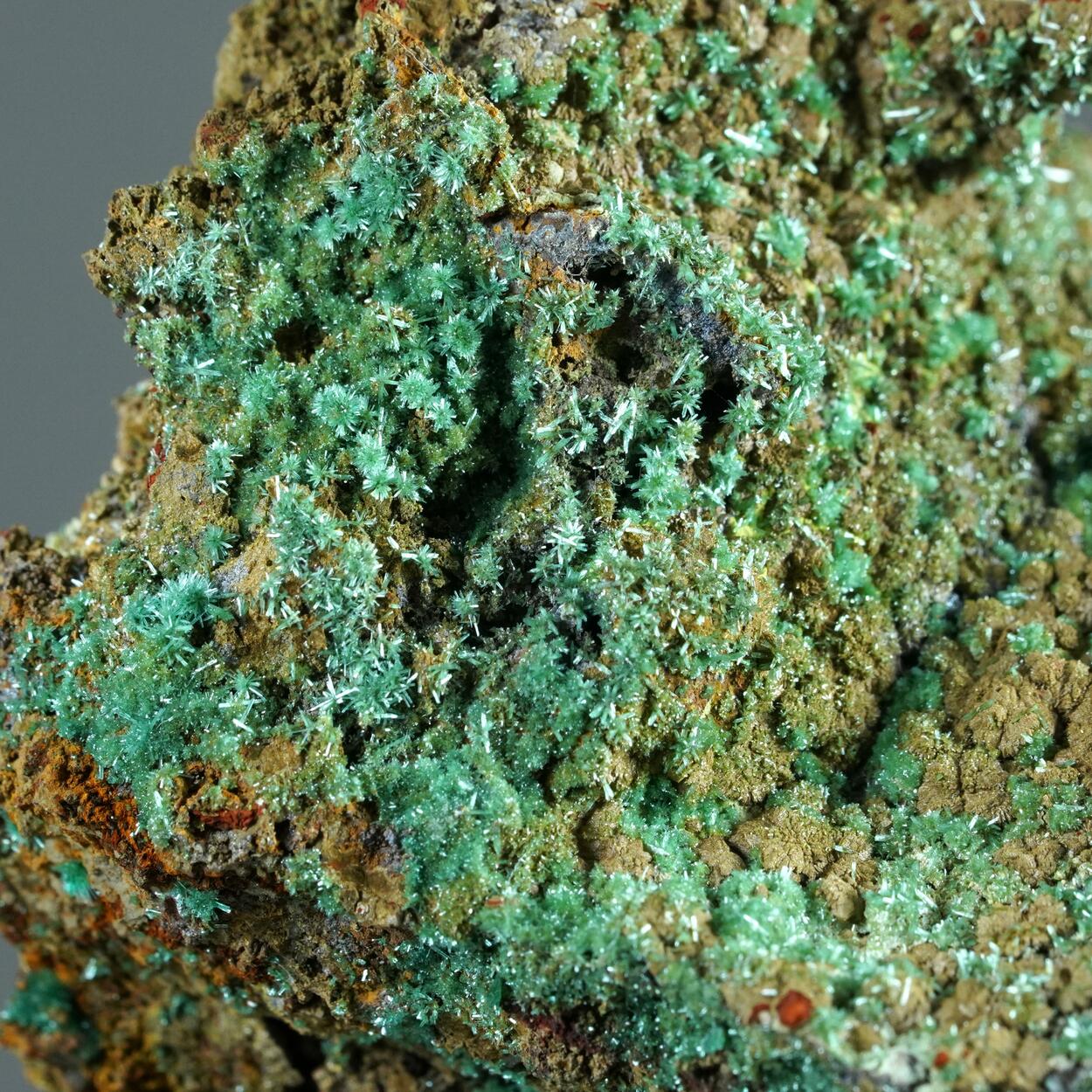 Olivenite & Chenevixite On Limonite Psm Calcite