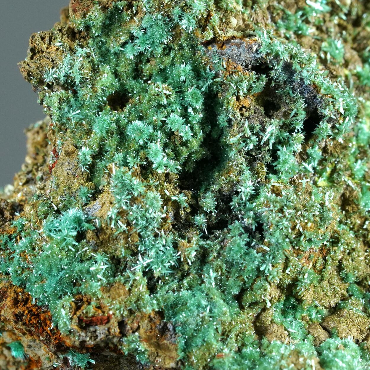 Olivenite & Chenevixite On Limonite Psm Calcite