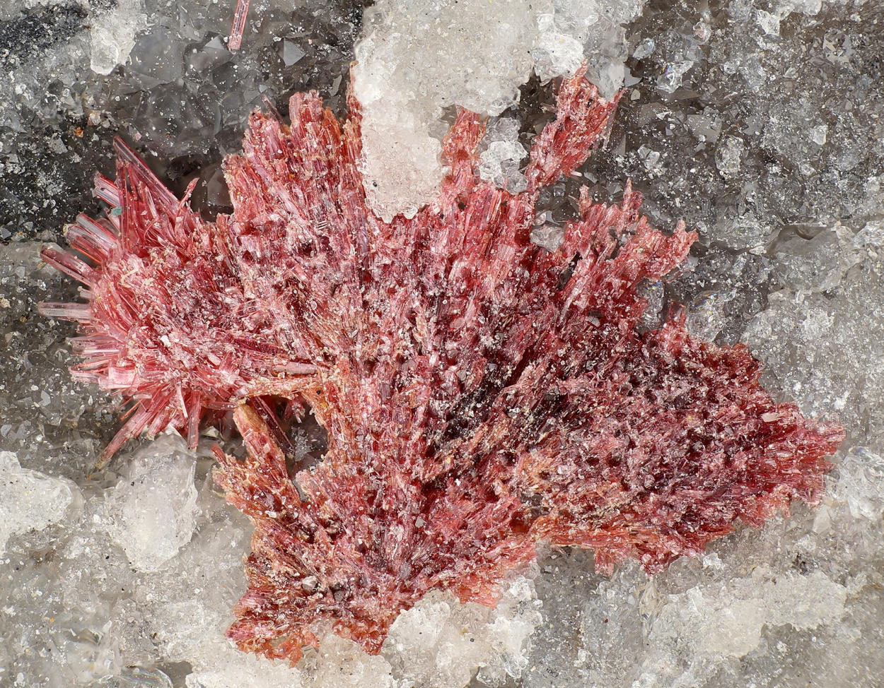 Erythrite On Quartz