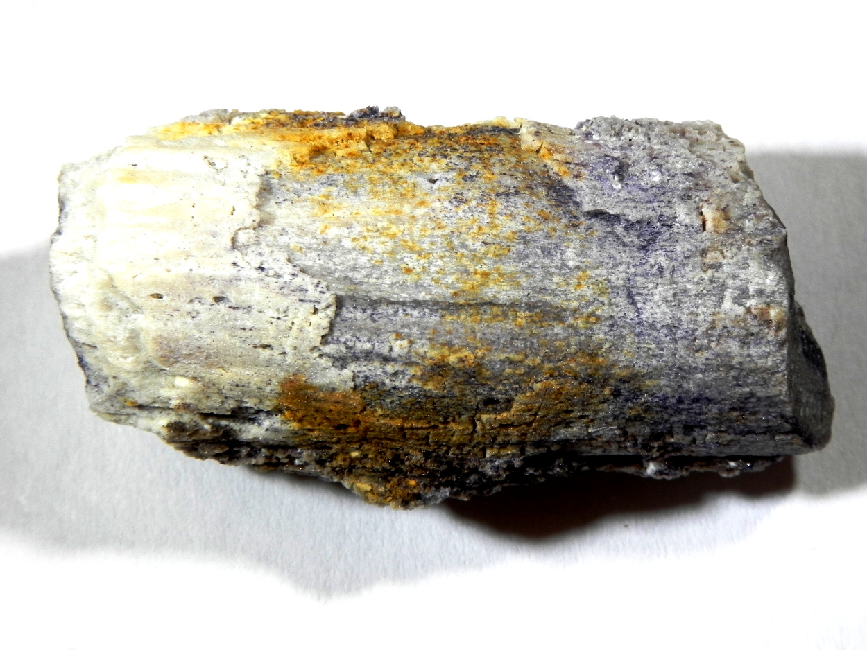 Fluorite Psm Petrified Wood