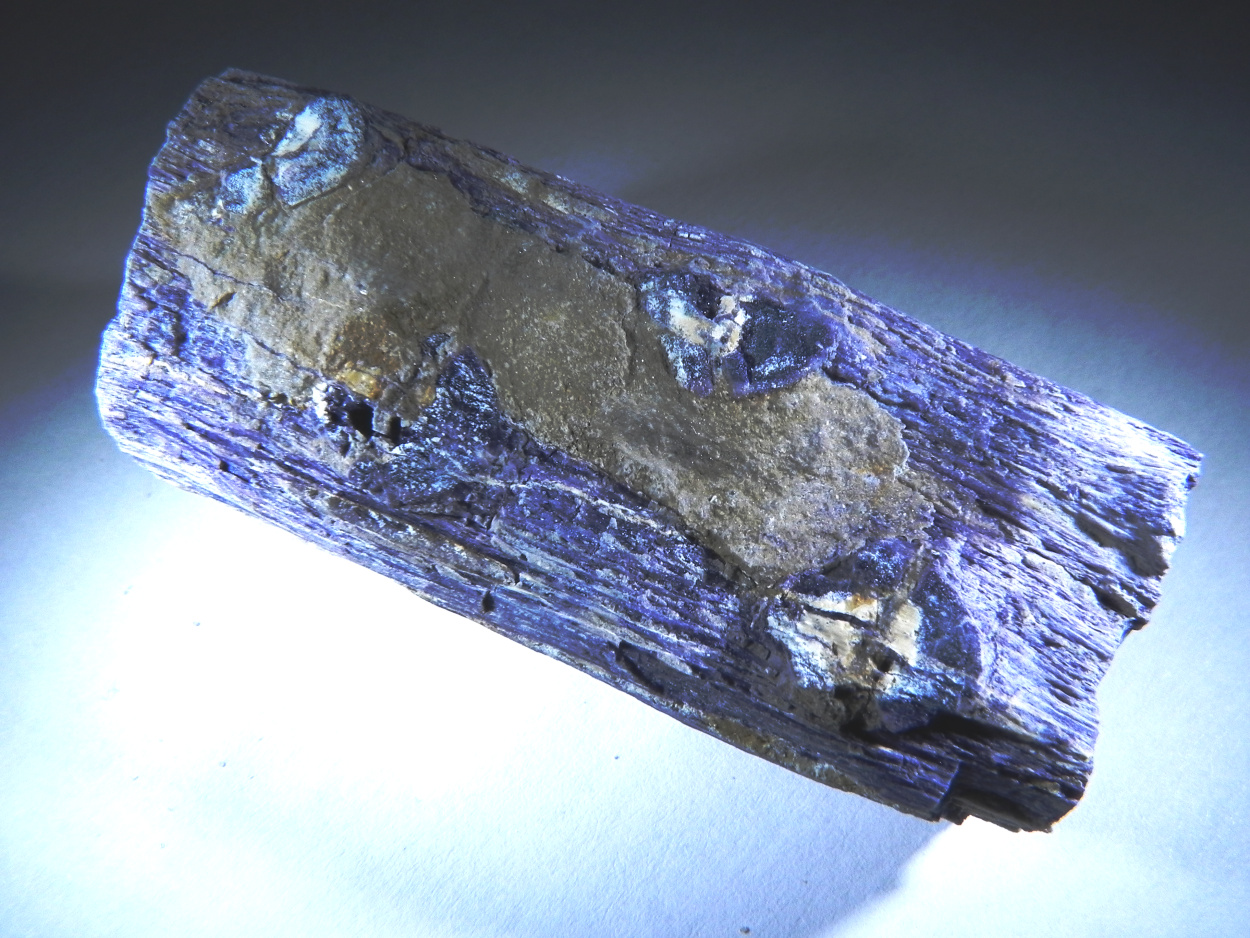 Fluorite Quartz & Petrified Wood
