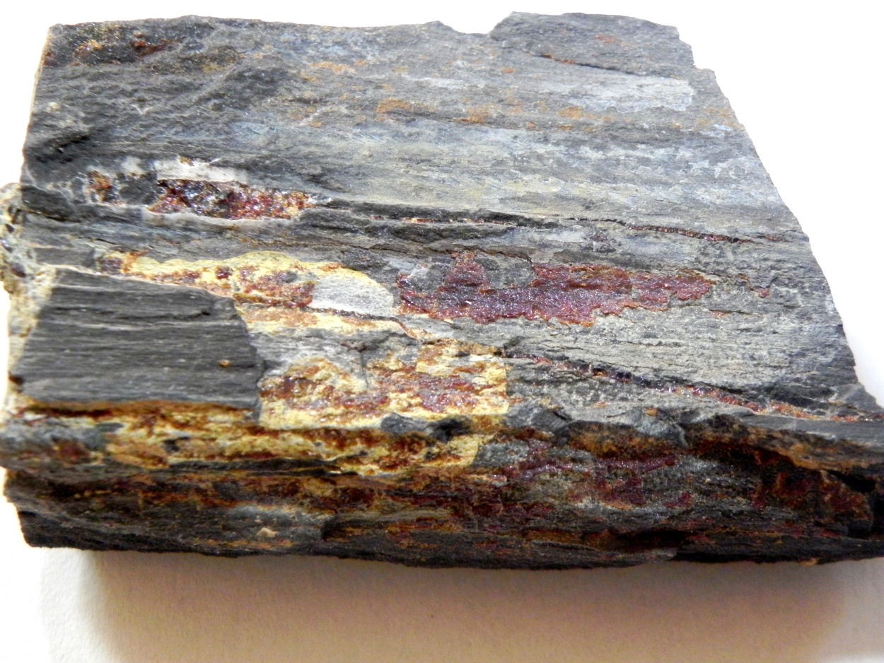 Amber Duxite On Petrified Wood