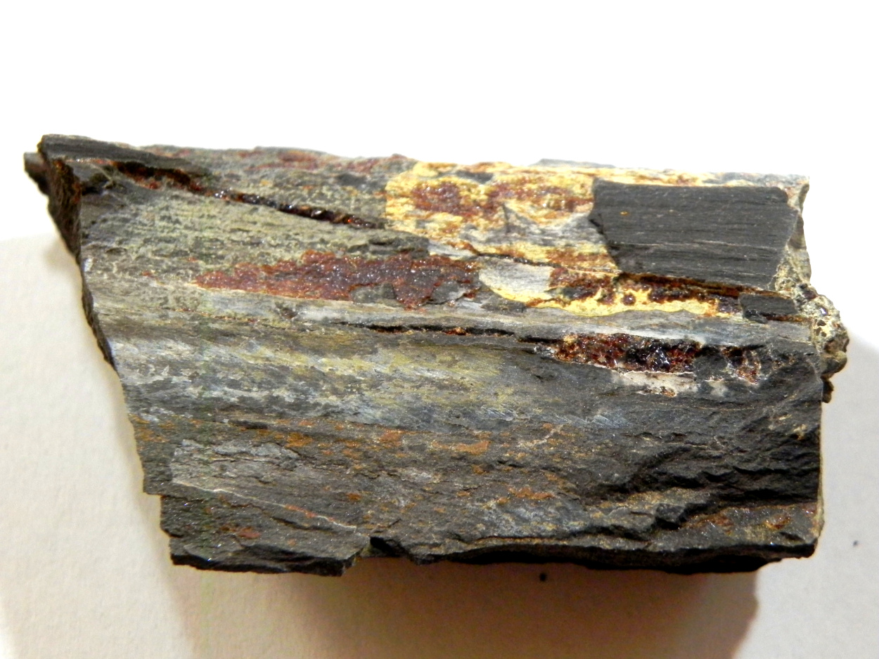 Amber Duxite On Petrified Wood