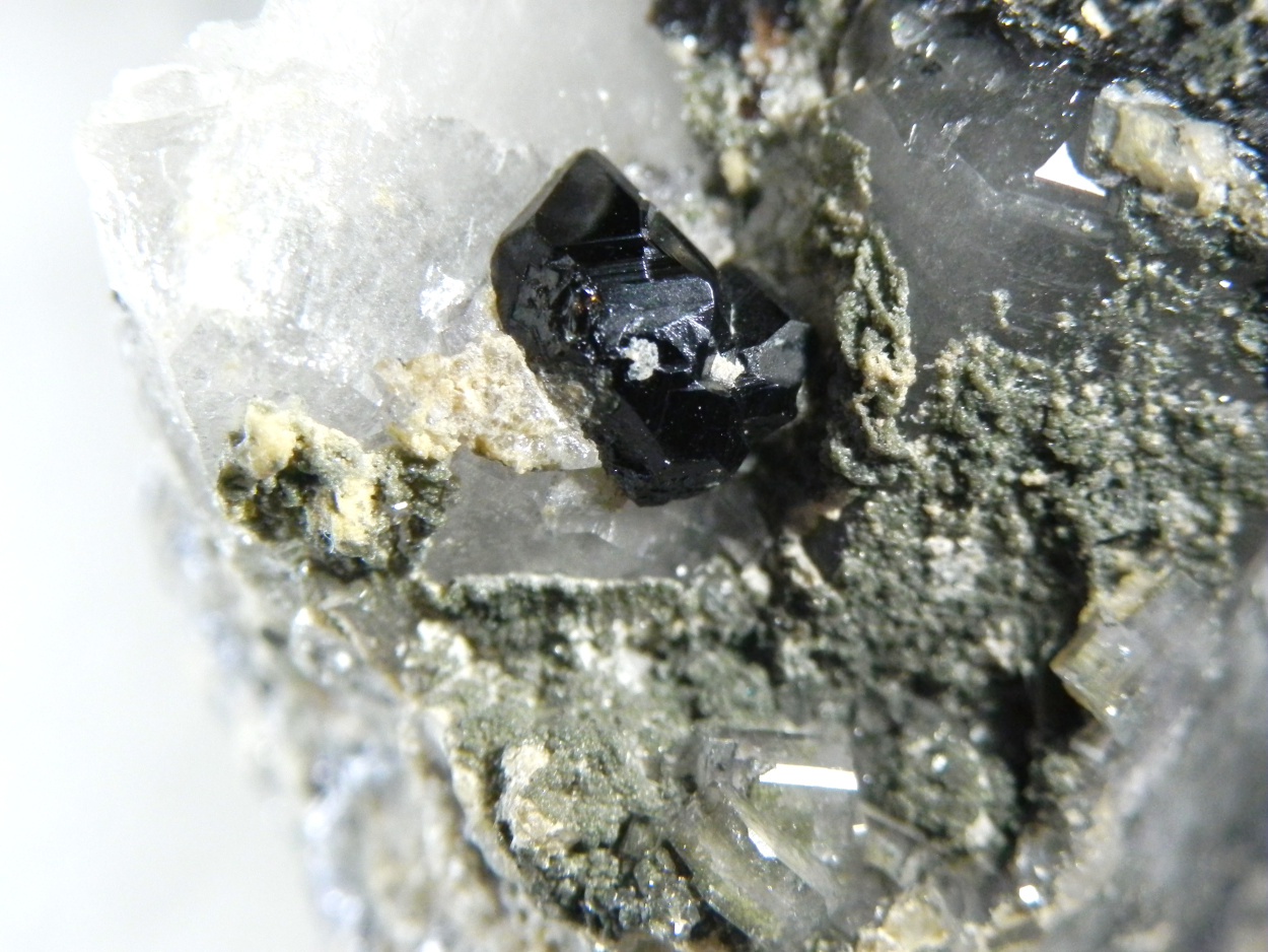 Cassiterite Apatite Wolframite Gilbertite Molybdenite Quartz