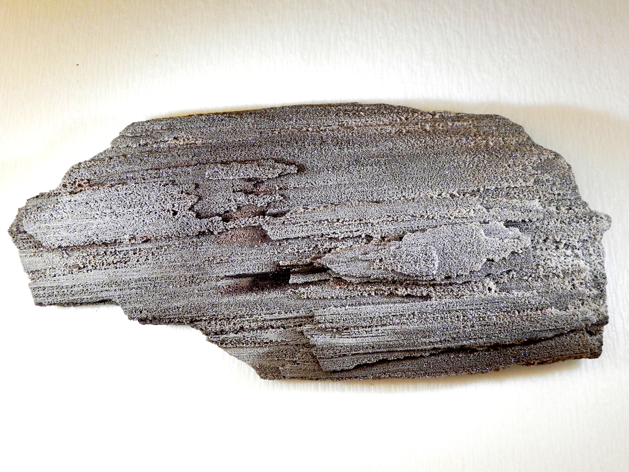 Petrified Wood With Quartz