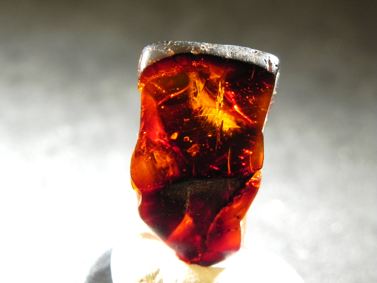 Amber With Inclusions
