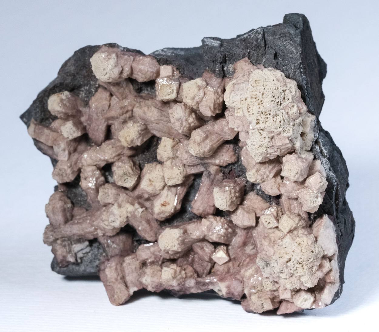 Olmiite & Bultfonteinite