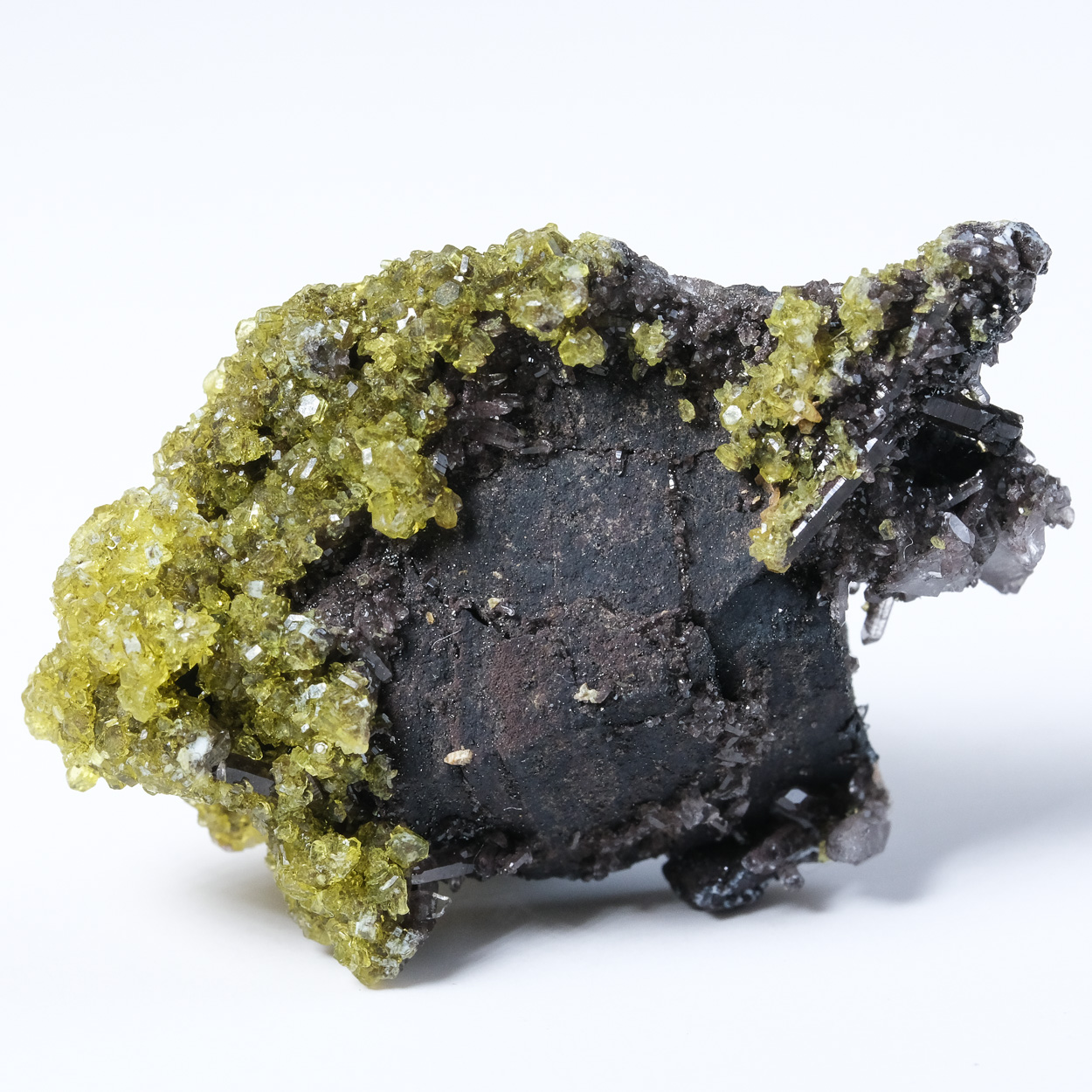 Sturmanite