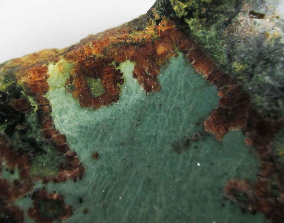 Diopside & Andradite